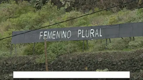 Las frases de un artista canario Las frases de un artista canario