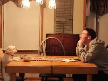 Vídeo perro padres Vídeo perro padres