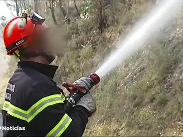 REEMPLAZO Declara ante el juez el voluntario de Protección Civil detenido como uno de los presuntos autores de los incendios de Cantabria REEMPLAZO Declara ante el juez el voluntario de Protección Civil detenido como uno de los presuntos autores de los incendios de Cantabria