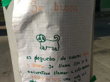 El cartel dibujado por una niña de siete años El cartel dibujado por una niña de siete años