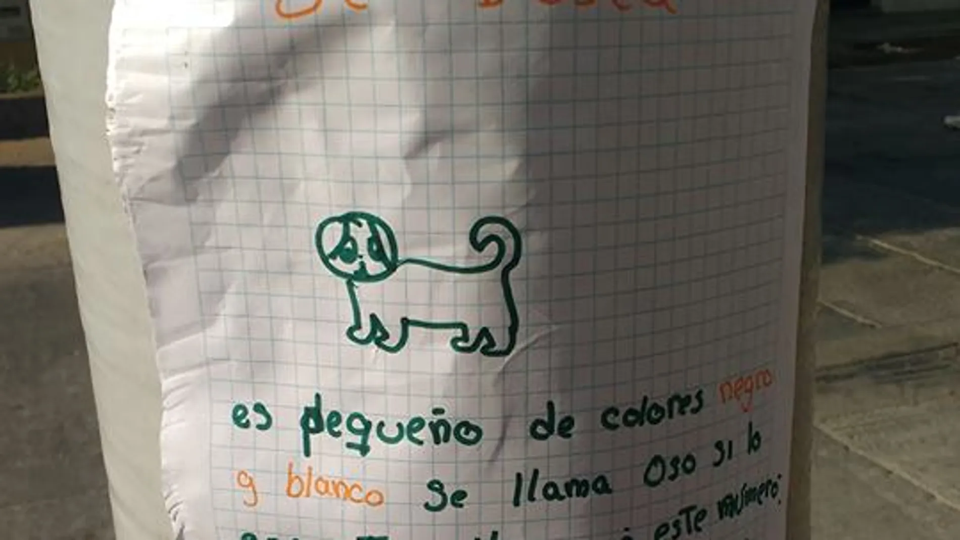 El cartel dibujado por una niña de siete años El cartel dibujado por una niña de siete años