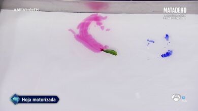 Marron trae las 'hojas motorizadas' a 'El Hormiguero 3.0'