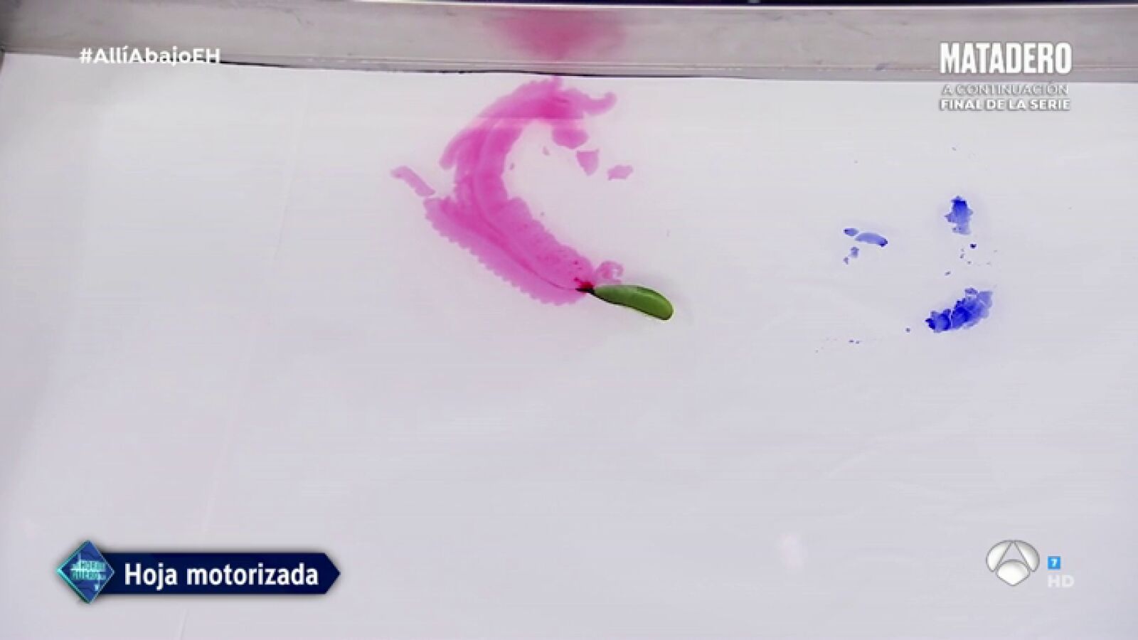 Marron trae las 'hojas motorizadas' a 'El Hormiguero 3.0'