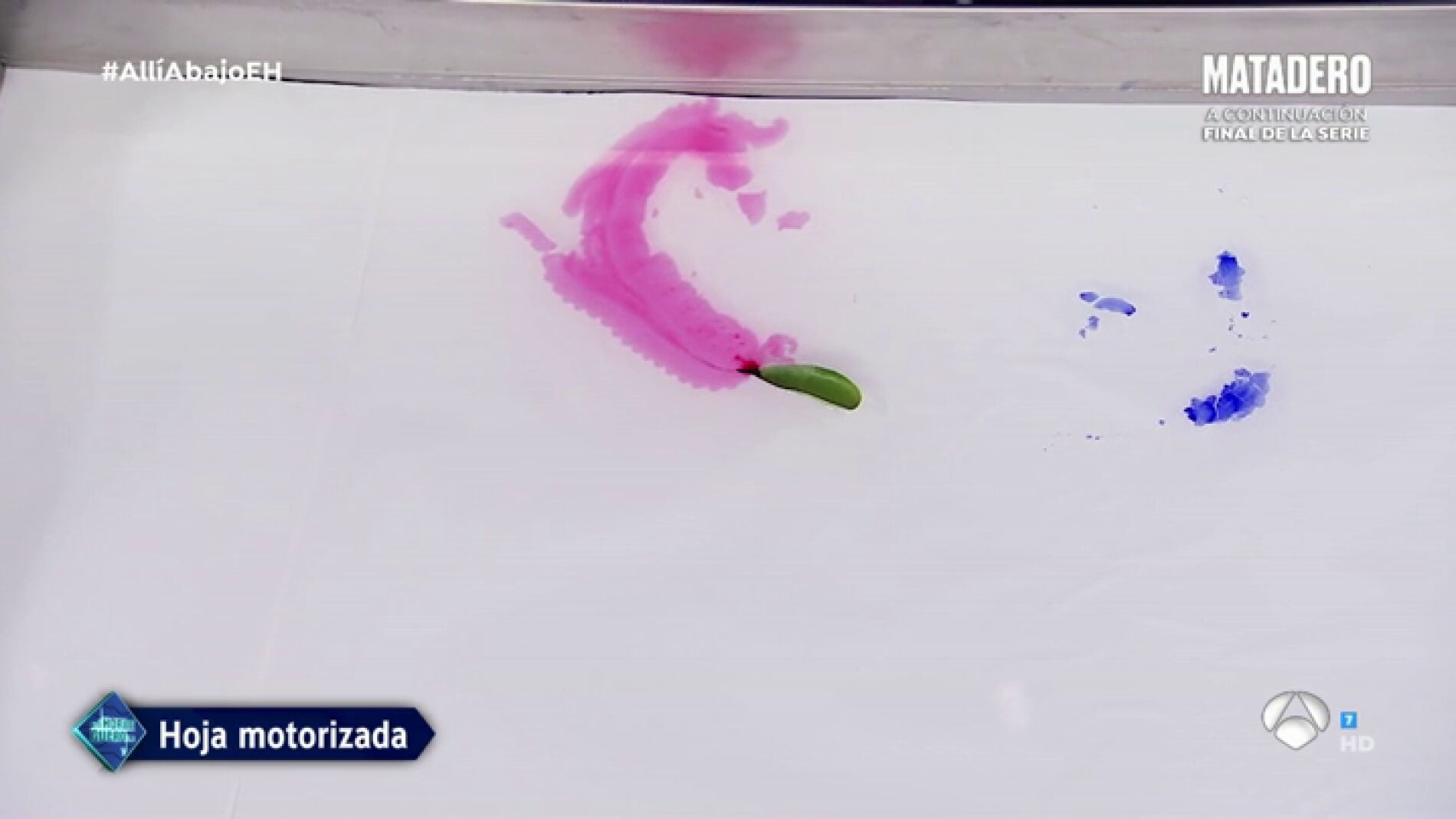 eh ciencia 2