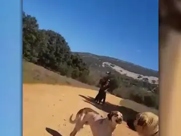 Un mastín ataca a un perro y a su dueña en Cabañeros, Ciudad Real Un mastín ataca a un perro y a su dueña en Cabañeros, Ciudad Real