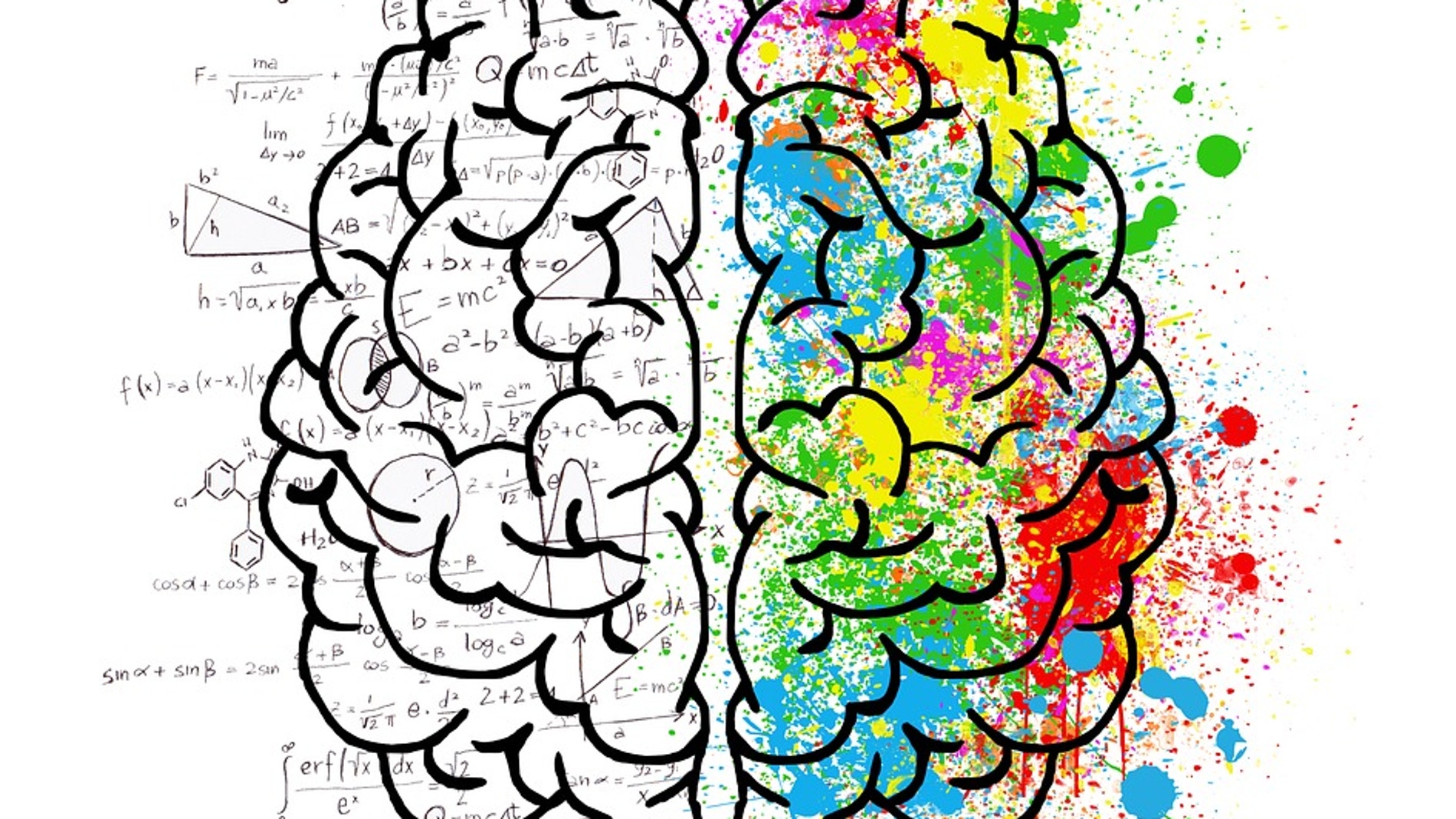 Dibujo de un cerebro