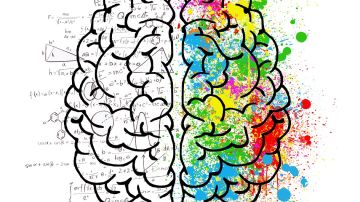 Cerebro