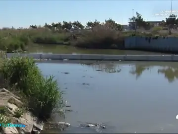 rio segura rio segura