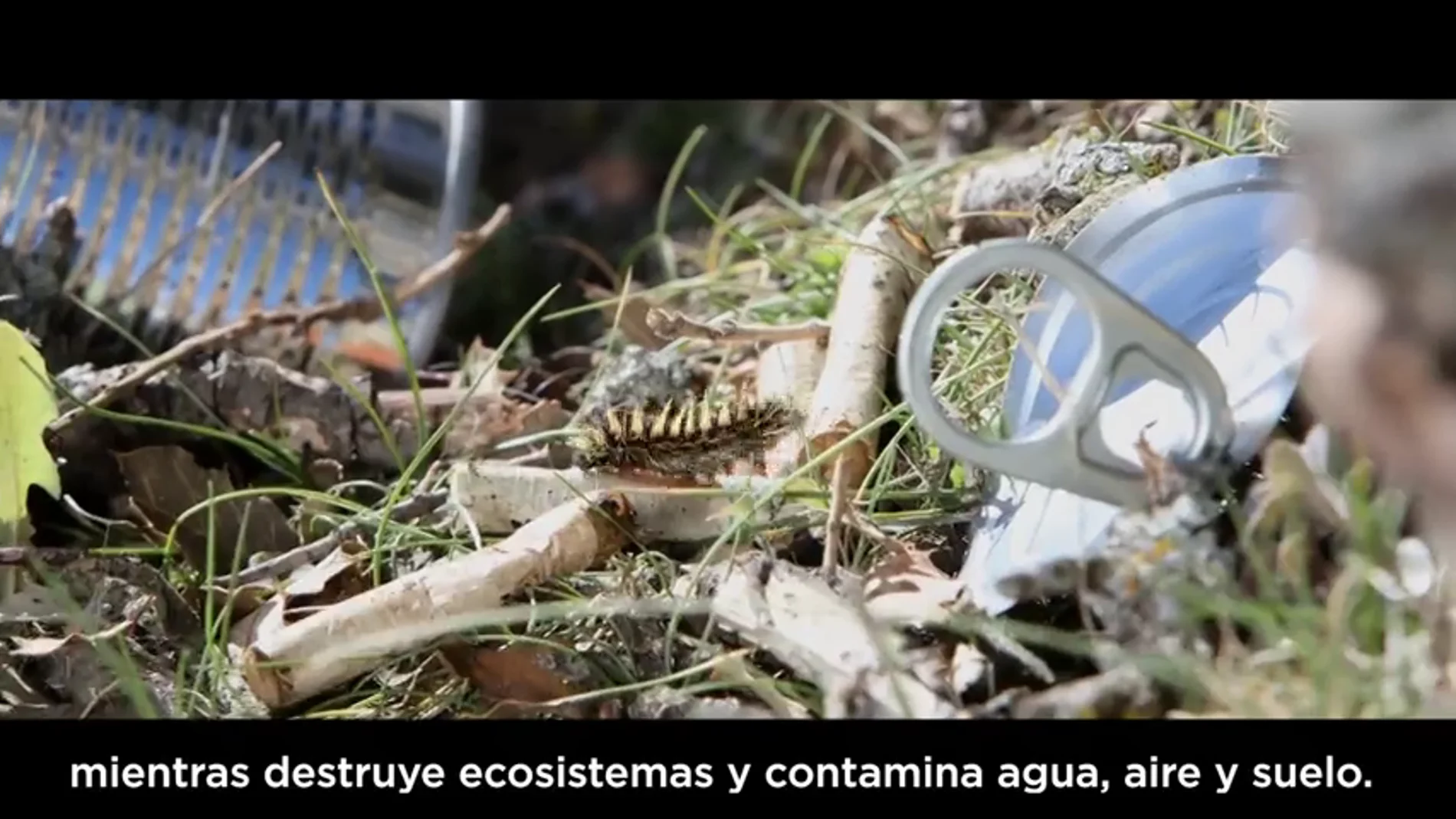 ¿Qué es la 'basuraleza' y cómo puedes ayudar a combatirla? ¿Qué es la 'basuraleza' y cómo puedes ayudar a combatirla?