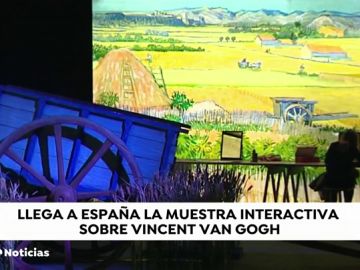W14 VAN GOGH W14 VAN GOGH