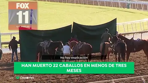 caballos muertos antena 3 caballos muertos antena 3