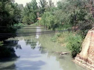 Imagen de archivo de el río Tajo a su paso por Aranjuez. Imagen de archivo de el río Tajo a su paso por Aranjuez.