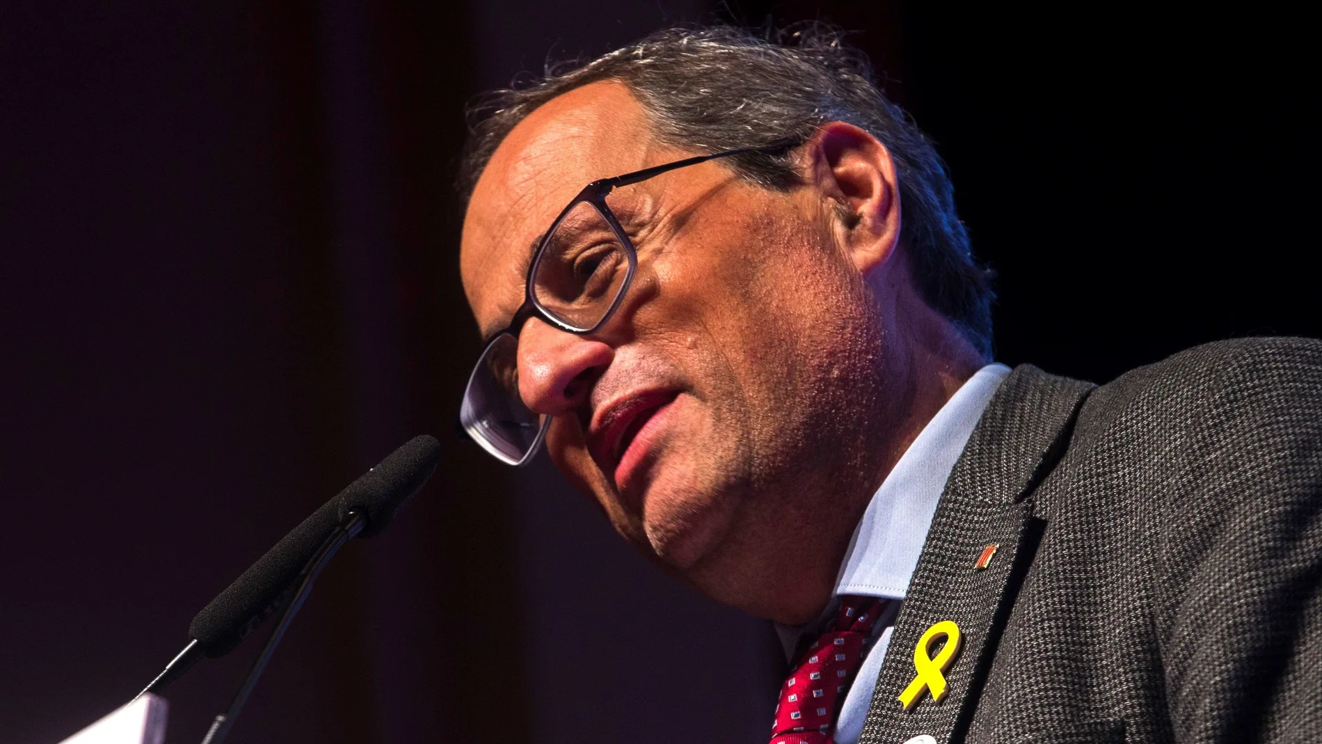 El presidente de la Generalitat, Quim Torra El presidente de la Generalitat, Quim Torra