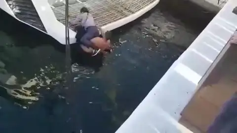 Rescate de una mujer en Puerto Banús Rescate de una mujer en Puerto Banús