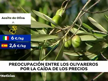 UPA llama a la "autorregulación" del sector para evitar la manipulación de precios del aceite para el productor UPA llama a la "autorregulación" del sector para evitar la manipulación de precios del aceite para el productor