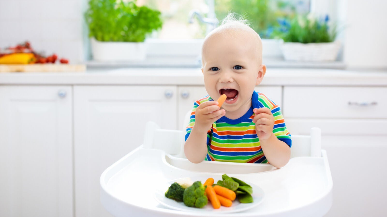 Bebés: ¿cómo introducir los alimentos?