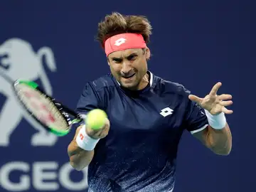 David Ferrer, en acción contra Sam Querrey David Ferrer, en acción contra Sam Querrey