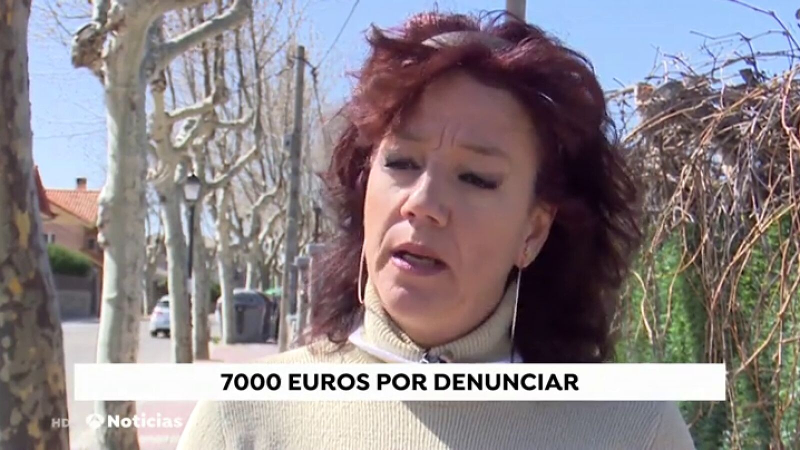 Condenan a una mujer a pagar 7.000 euros por denunciar a la persona equivocada tras ser atacada por dos pitbull