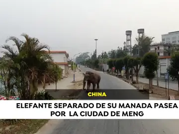 #AhoraEnElMundo, las noticias internacionales que están marcando este lunes 25 de marzo #AhoraEnElMundo, las noticias internacionales que están marcando este lunes 25 de marzo