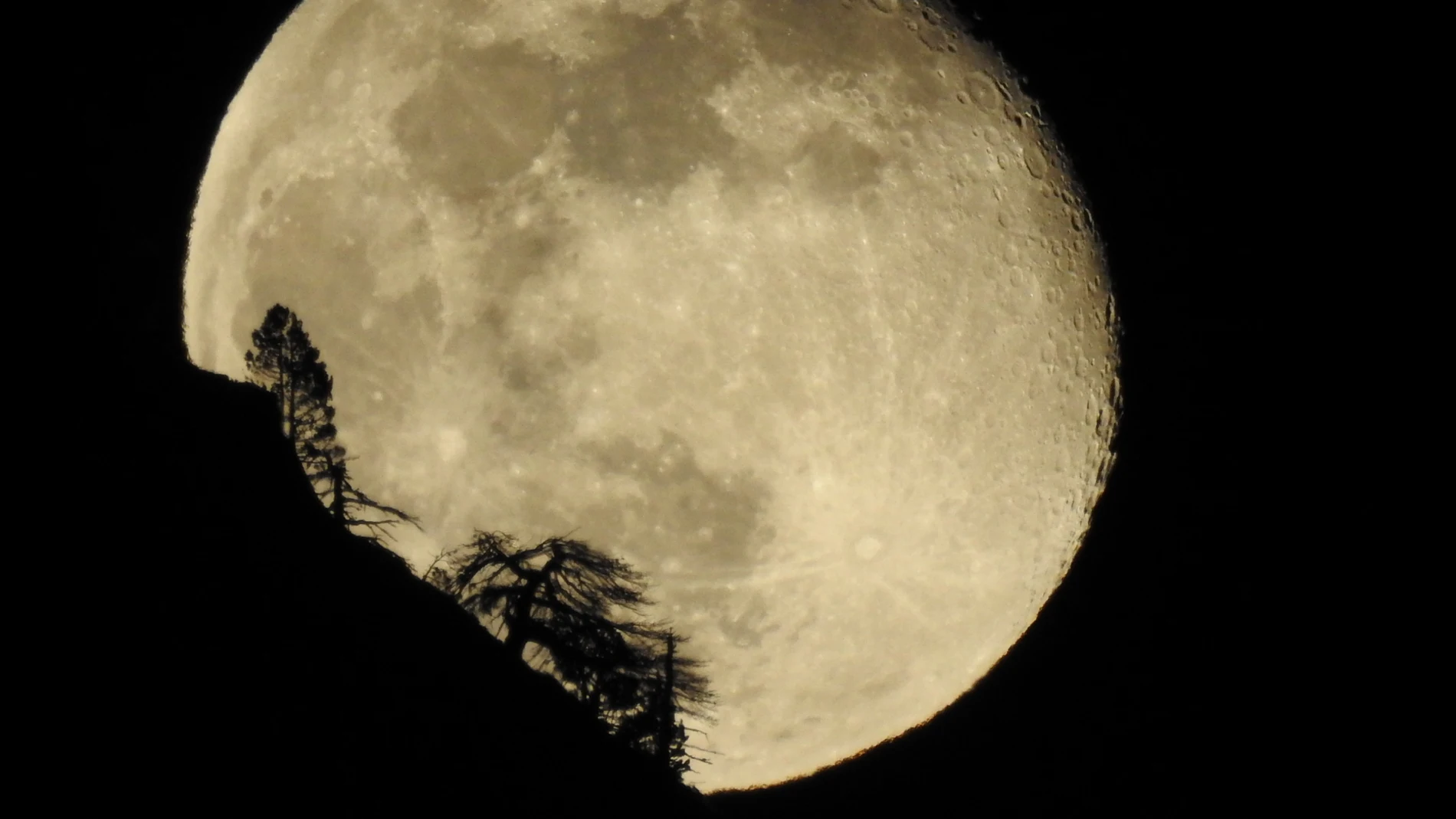 Luna llena Luna llena