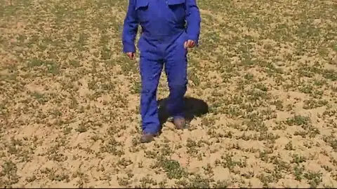 La sequía, principal preocupación de los ganaderos y agricultores La sequía, principal preocupación de los ganaderos y agricultores