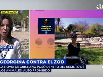 Georgina Rodríguez en su visita al zoo de Madrid Georgina Rodríguez en su visita al zoo de Madrid