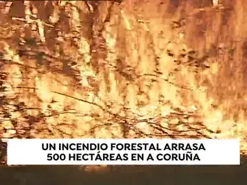 REEMPLAZO INCENDIO REEMPLAZO INCENDIO