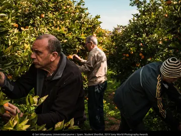 "La Terreta" by Sergi Villanueva "La Terreta" by Sergi Villanueva