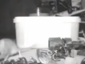 Un ratón ordena las piezas de un taller Un ratón ordena las piezas de un taller