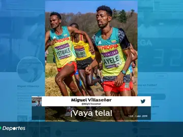 ¿Realmente tienen 18 años? Incredulidad por la supuesta edad de dos etíopes en el Mundial sub-20 de cross ¿Realmente tienen 18 años? Incredulidad por la supuesta edad de dos etíopes en el Mundial sub-20 de cross