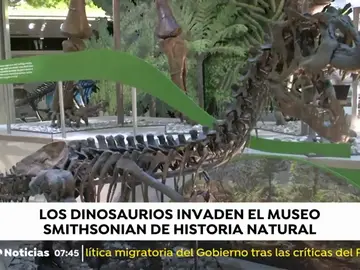 DINOSAURIOS DINOSAURIOS