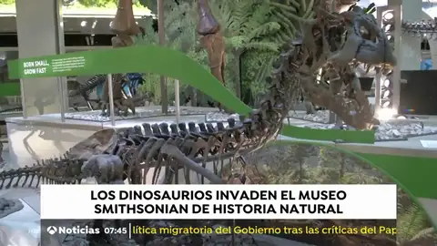 DINOSAURIOS DINOSAURIOS