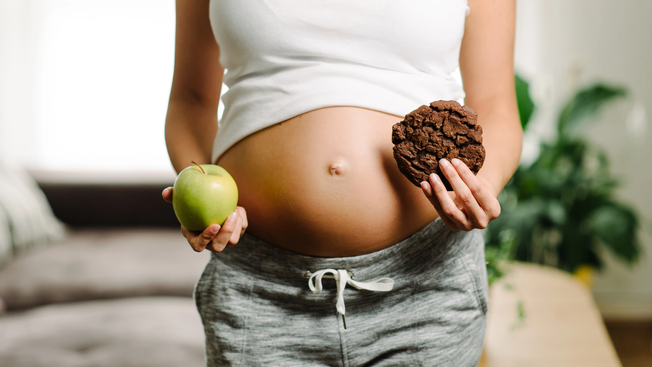 Qué se puede comer en el embarazo Nova Life