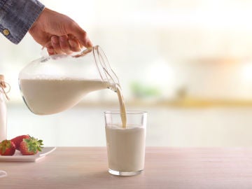 Leche Leche