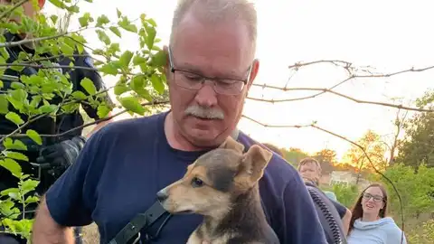 El perro y su rescatador El perro y su rescatador