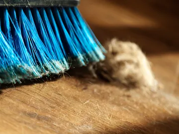 Escoba llena de polvo Escoba llena de polvo