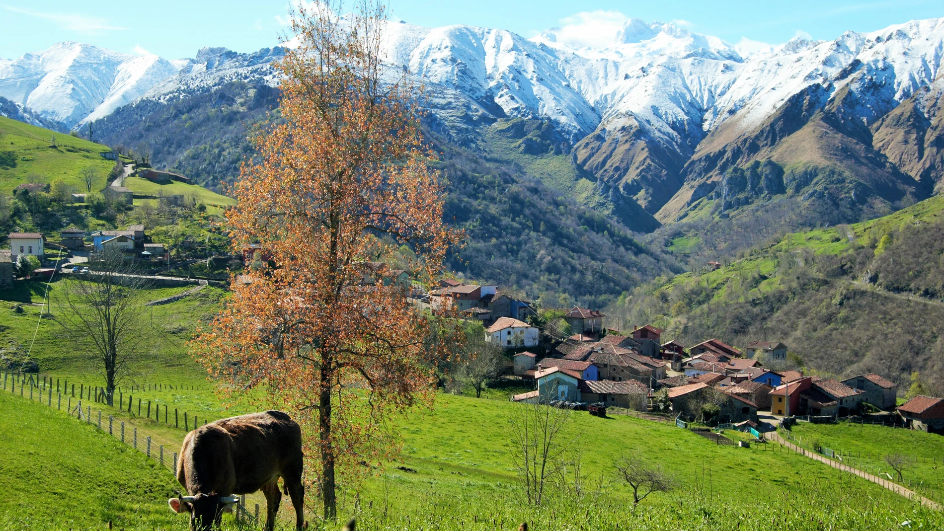 Primavera en Picos de Europa Primavera en Picos de Europa
