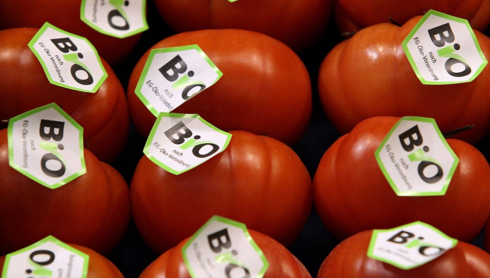 Tomates bio