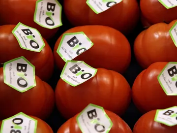 Tomates bio Tomates bio