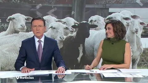 NUEVAchistematÃas NUEVAchistematÃas