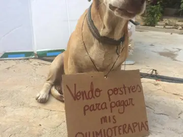 Pide ayuda para financiar su quimioterapia Pide ayuda para financiar su quimioterapia