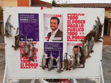 Conejos muertos en un cartel electoral de Garzón