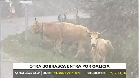 TEMPORAL TEMPORAL