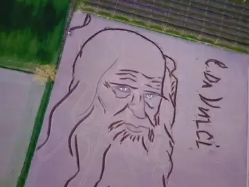 Un artista italiano crea un gigantesco retrato de Leonardo Da Vinci en un campo Un artista italiano crea un gigantesco retrato de Leonardo Da Vinci en un campo