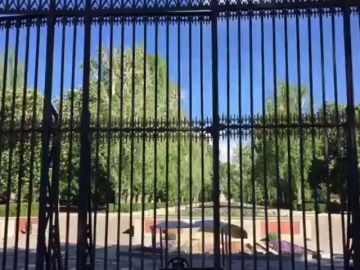 Cerrado el Retiro y otros parques de Madrid por riesgo de caída de árboles y ramas