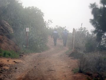 La zona alta de Adeje (Tenerife). La zona alta de Adeje (Tenerife).