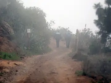 La zona alta de Adeje (Tenerife). La zona alta de Adeje (Tenerife).