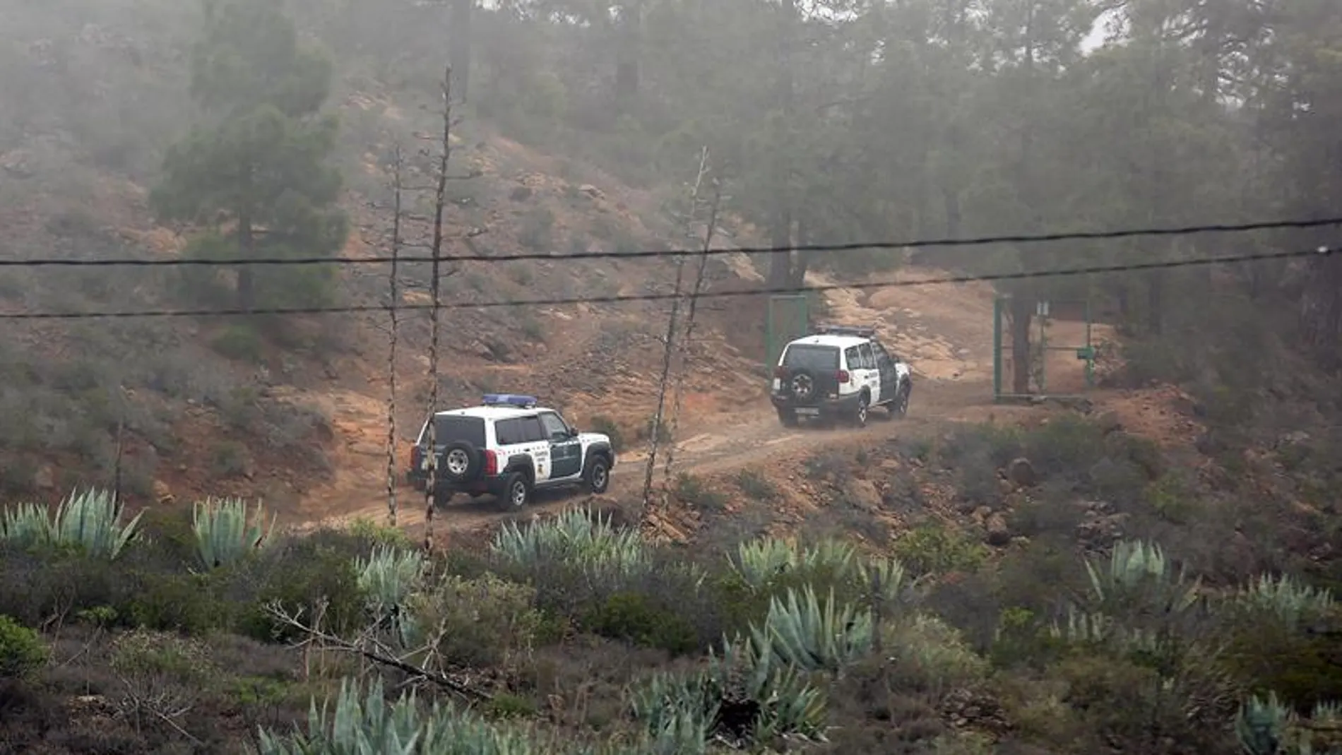 Zona de Adeje donde ha sido hallada muerta la mujer y su hijo Zona de Adeje donde ha sido hallada muerta la mujer y su hijo