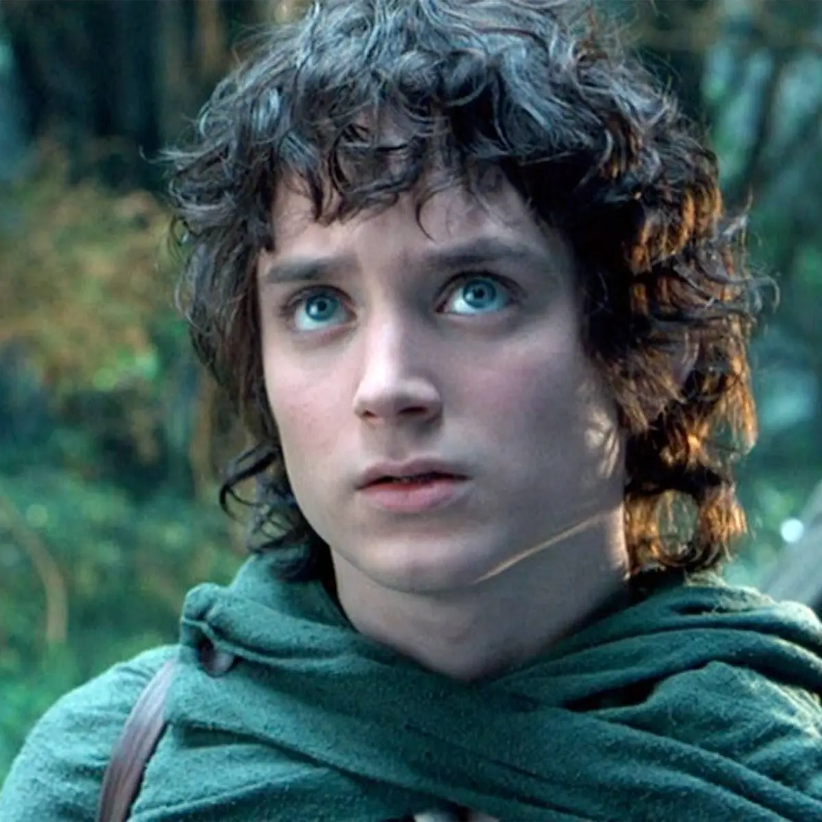 El señor de los anillos': Elijah Wood y los otros tres 'hobbits' de la  trilogía se volvieron a reunir