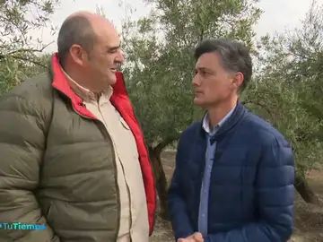 'Olivares vivos' para recuperar la biodiversidad 'Olivares vivos' para recuperar la biodiversidad